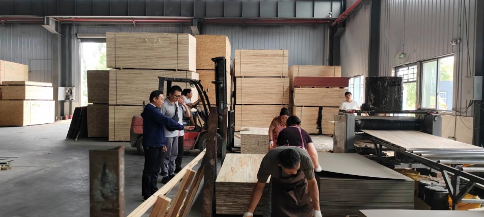 深化地校联动 赋能乡村振兴 ——beat365亚洲体育在线官网赴马古岗村调研交流